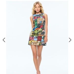 Alice + Olivia Multi-Color Scenic Print Mini Dress